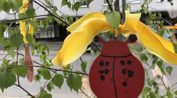 Maibäume 2018