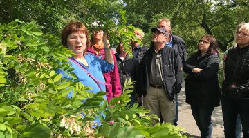 1. Kräuterexkursion 2018