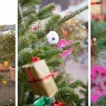 Weihnachtsbaumaktion von Mein Ickern e.V. 2014