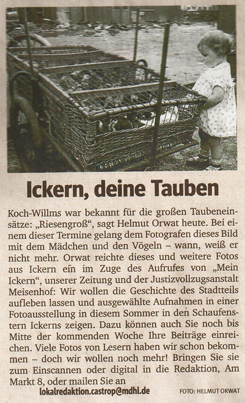 Ickern deine Tauben